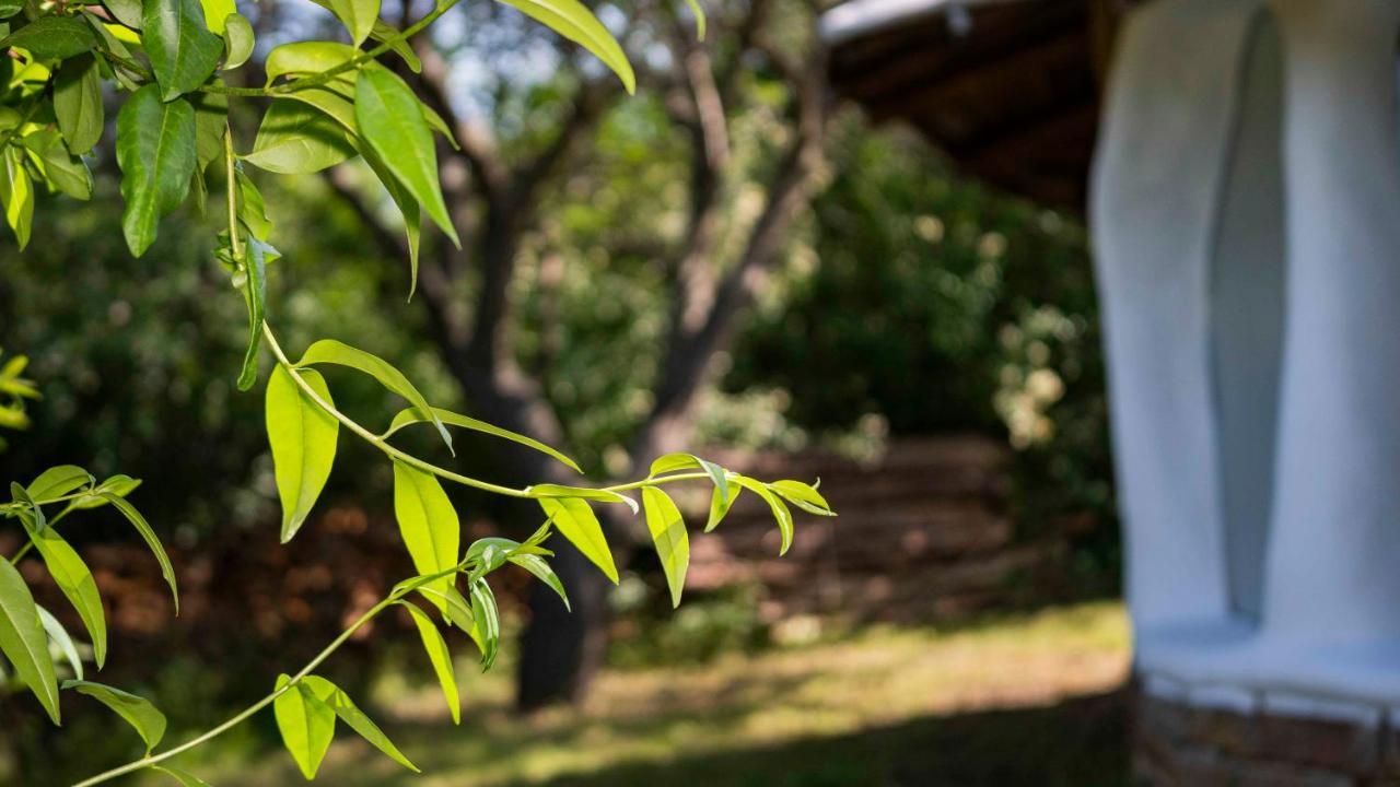 Villa Clay House Banya Banya  Exterior foto
